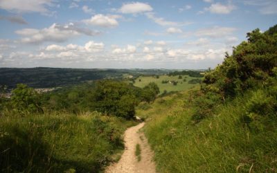 Gorgeous Country Walks To Start The New Year