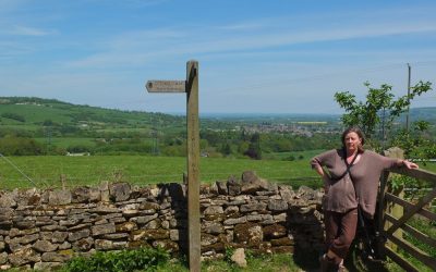 Cotswold Dry-Stone Walls
