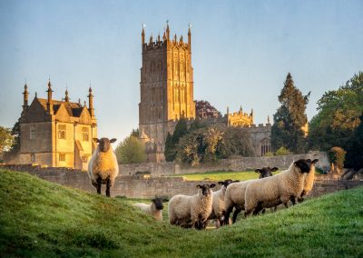 The Cotswolds Wool Trade