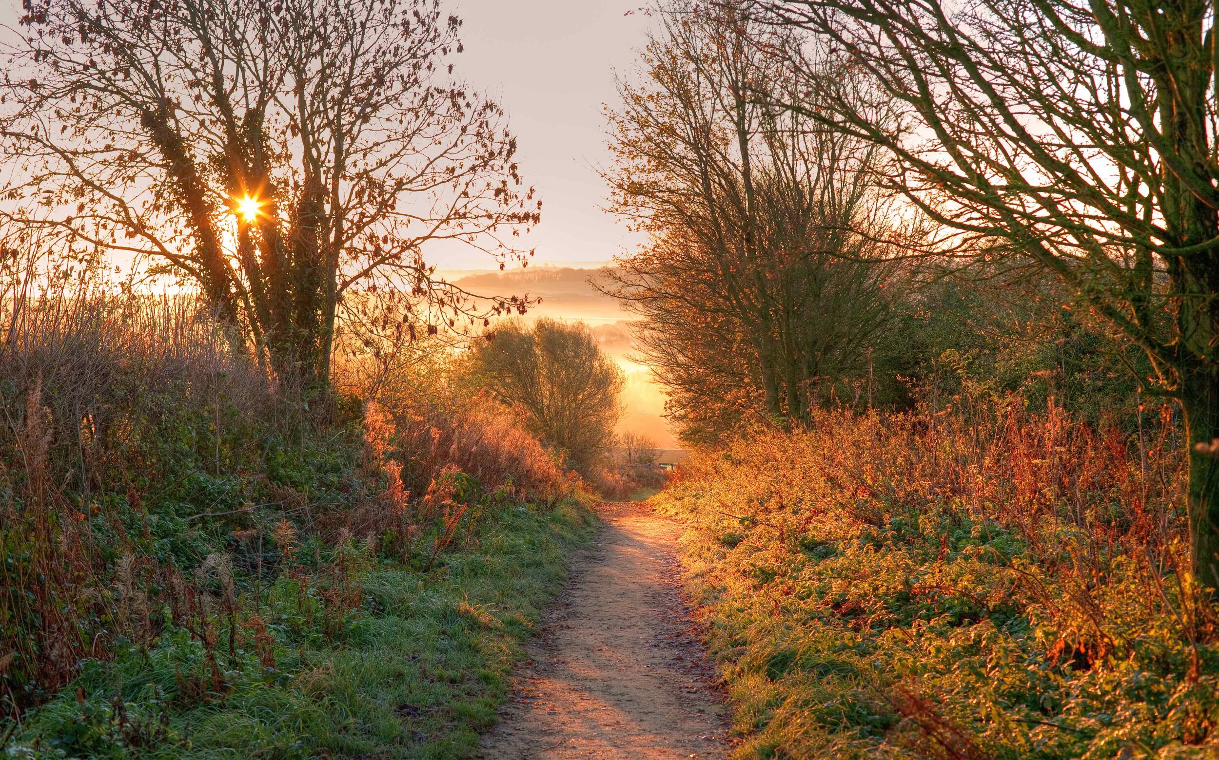 Pathway With Early Morning Light