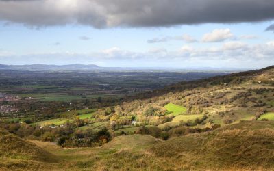 Walking In Cleeve Common