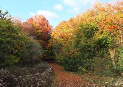 The Best Autumn Walks In The Cotswolds