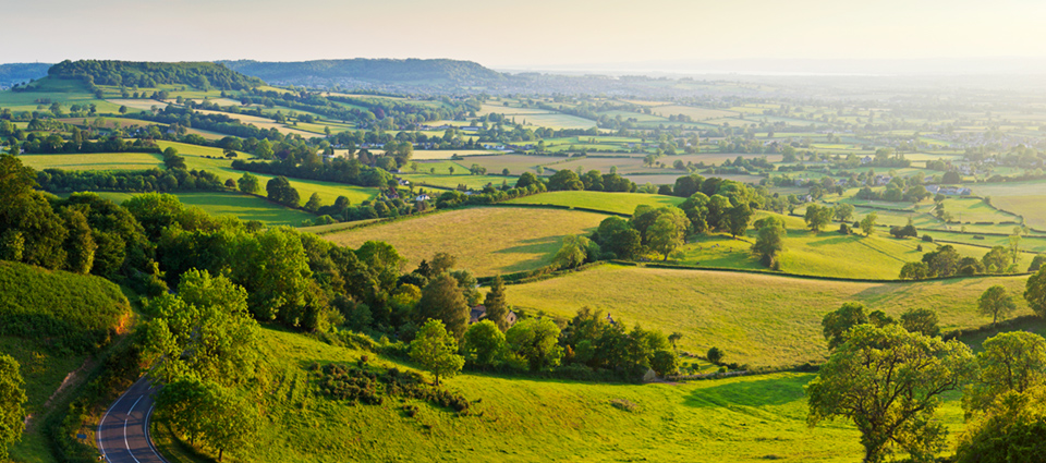 Aerial View of The Cotswold Countryside, With Green Grass and Trees
