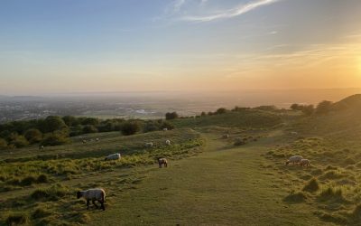 Where Is The Heart of The Cotswolds