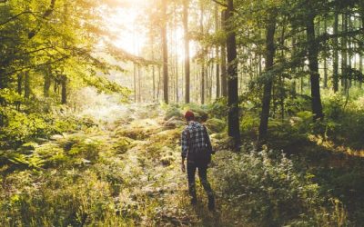 Interesting Facts About Walking That You May Not Know