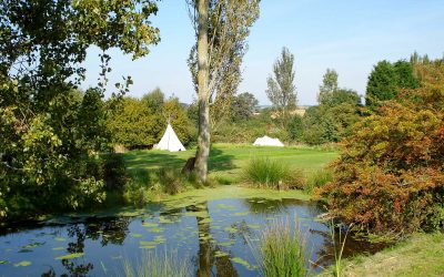 Camping In The Cotswolds