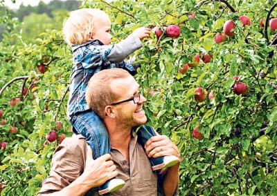 The Best Fruit Picking In The Cotswolds