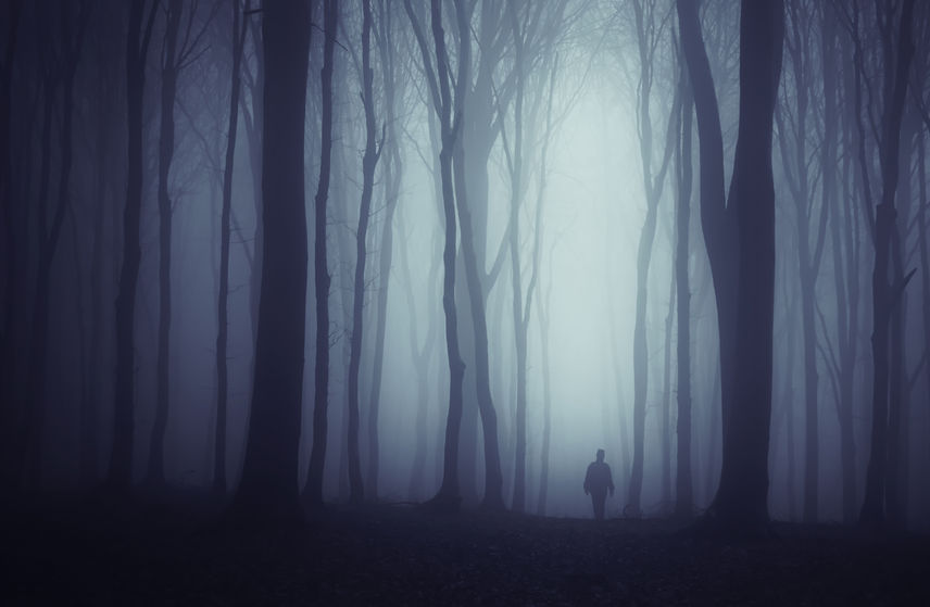 Person Walking In The Forrest With Fog