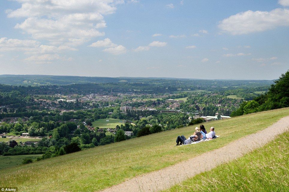 People Having a Picnic On A Hill