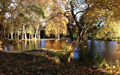 Walking In Winson