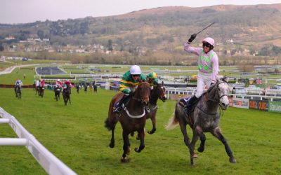 How To Survive Race Week In The Cotswolds