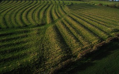 The Cotswolds: A Fine Example Of Ridge And Furrow