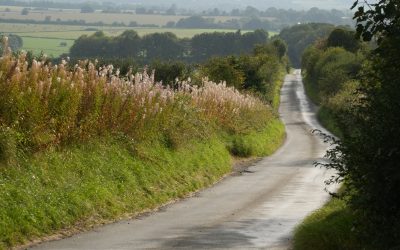 Short Cotswold Walks For Spring Days