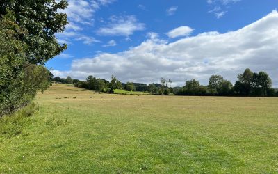 Walking In Cirencester Park and Estate