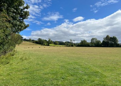 Walking In Cirencester Park and Estate