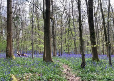 Discover Cotswold Wildlife on Foot