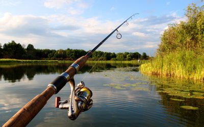 Fishing in the Cotswolds