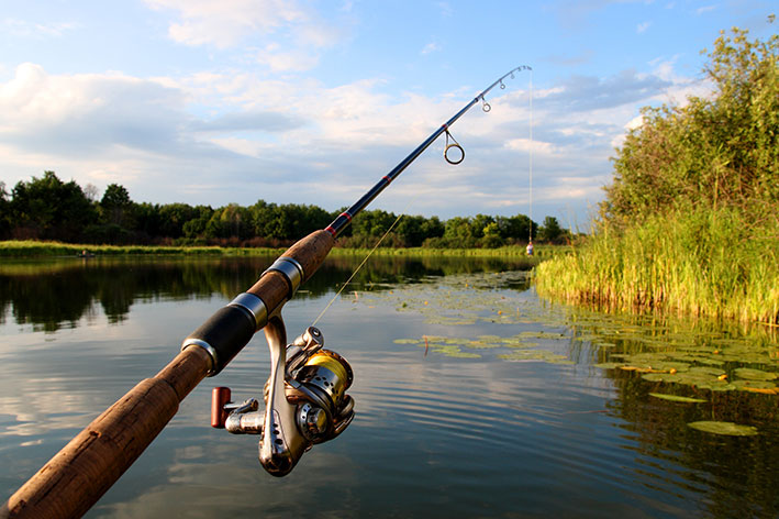 Fishing Rod Over A Lake